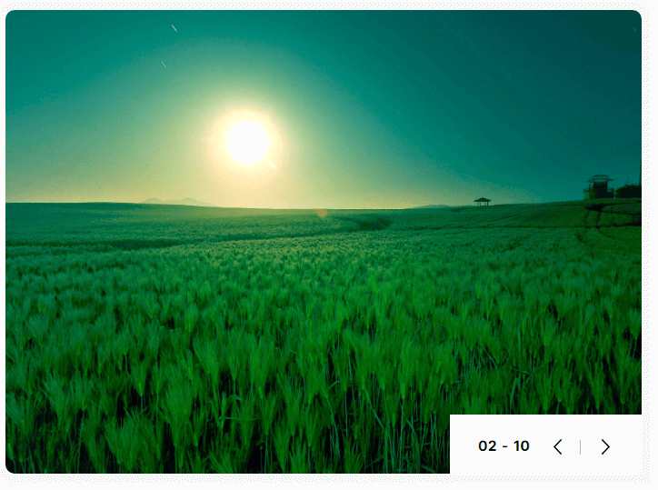 고창청보리밭축제