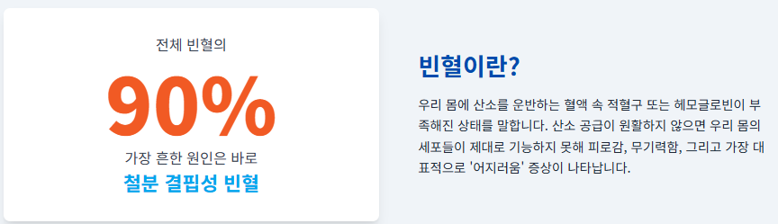 잦은 피로와 어지러움, 혹시 빈혈 아닐까? 빈혈 원인 증상 철분 보충 음식 추천!