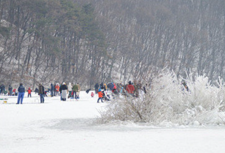 안성 동막골 빙어축제