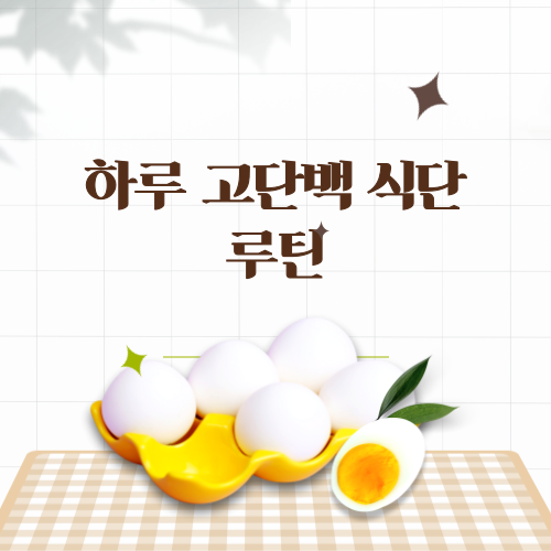 다이어트 고단백 저지방 하루 식단 샘플 & 루틴