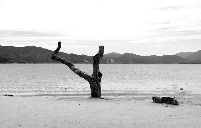 경기도 1박 2일 여행지 추천 베스트 5곳 총정리 완벽 코스_3