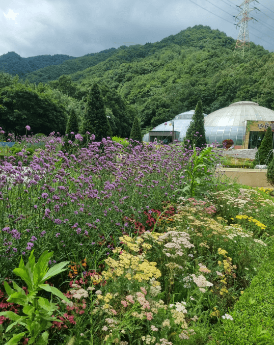 솔향수목원