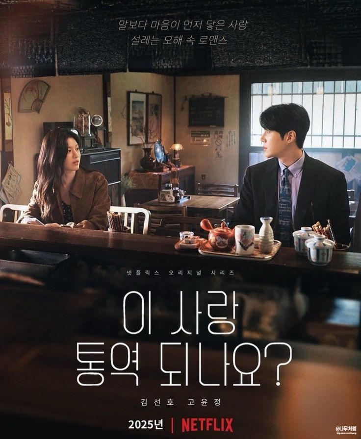 &lsquo;이 사랑 통역 되나요?&rsquo; 줄거리&middot;방송정보&middot;출연진&middot;해외 반응 정리