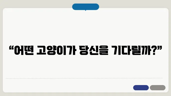 어떻게 고르지? 먼치킨 vs 샴 vs 랙돌, 가장 나에게 맞는 고양이는?