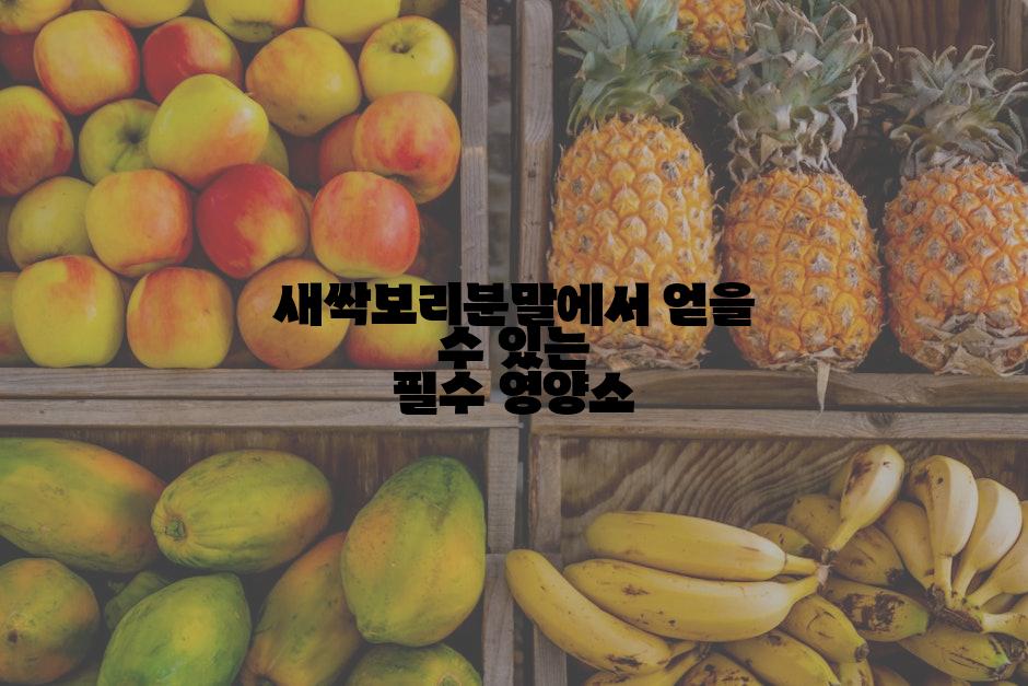 새싹보리분말에서 얻을 수 있는 필수 영양소