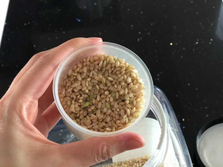 계량컵에-담긴-현미-쌀