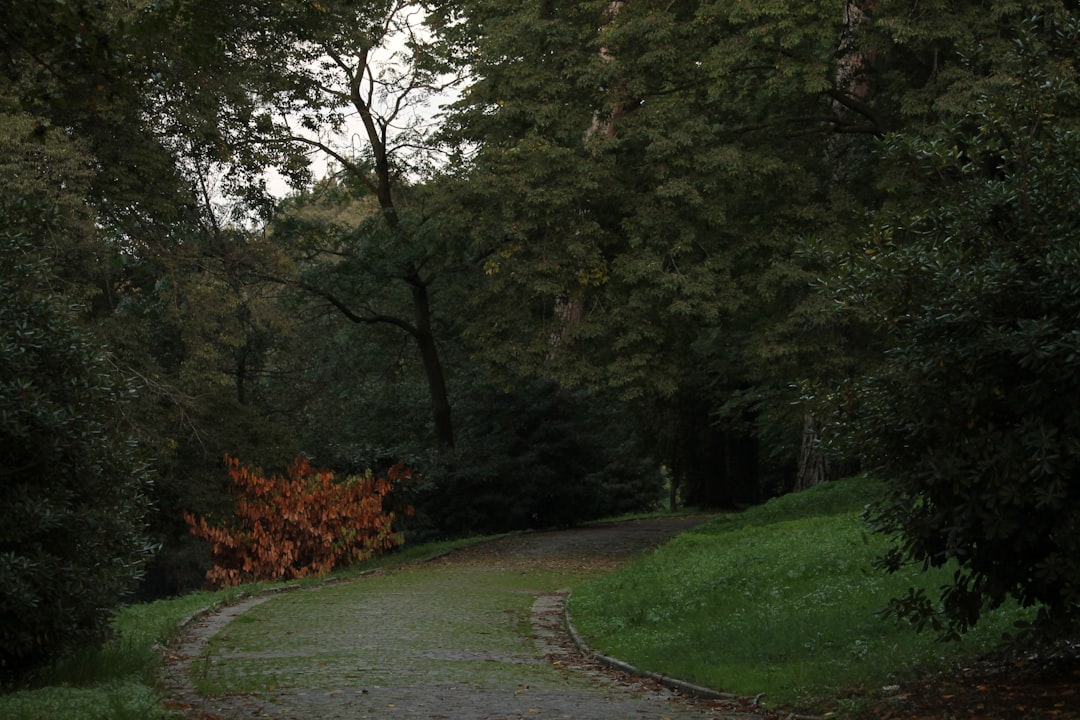 'Nature'