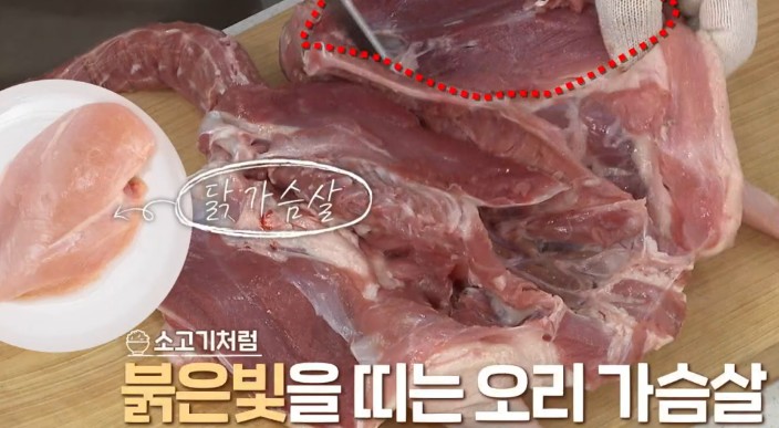 오리가슴살
