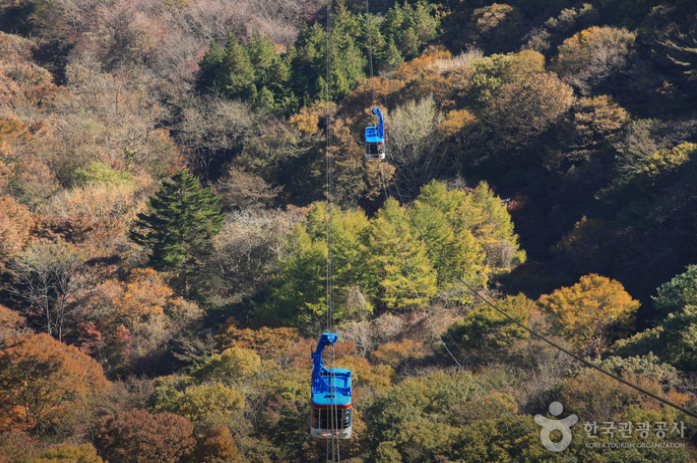 내장산 케이블카 예약방법&amp;#44; 요금&amp;#44; 운행시간&amp;#44; 주차장 총정리