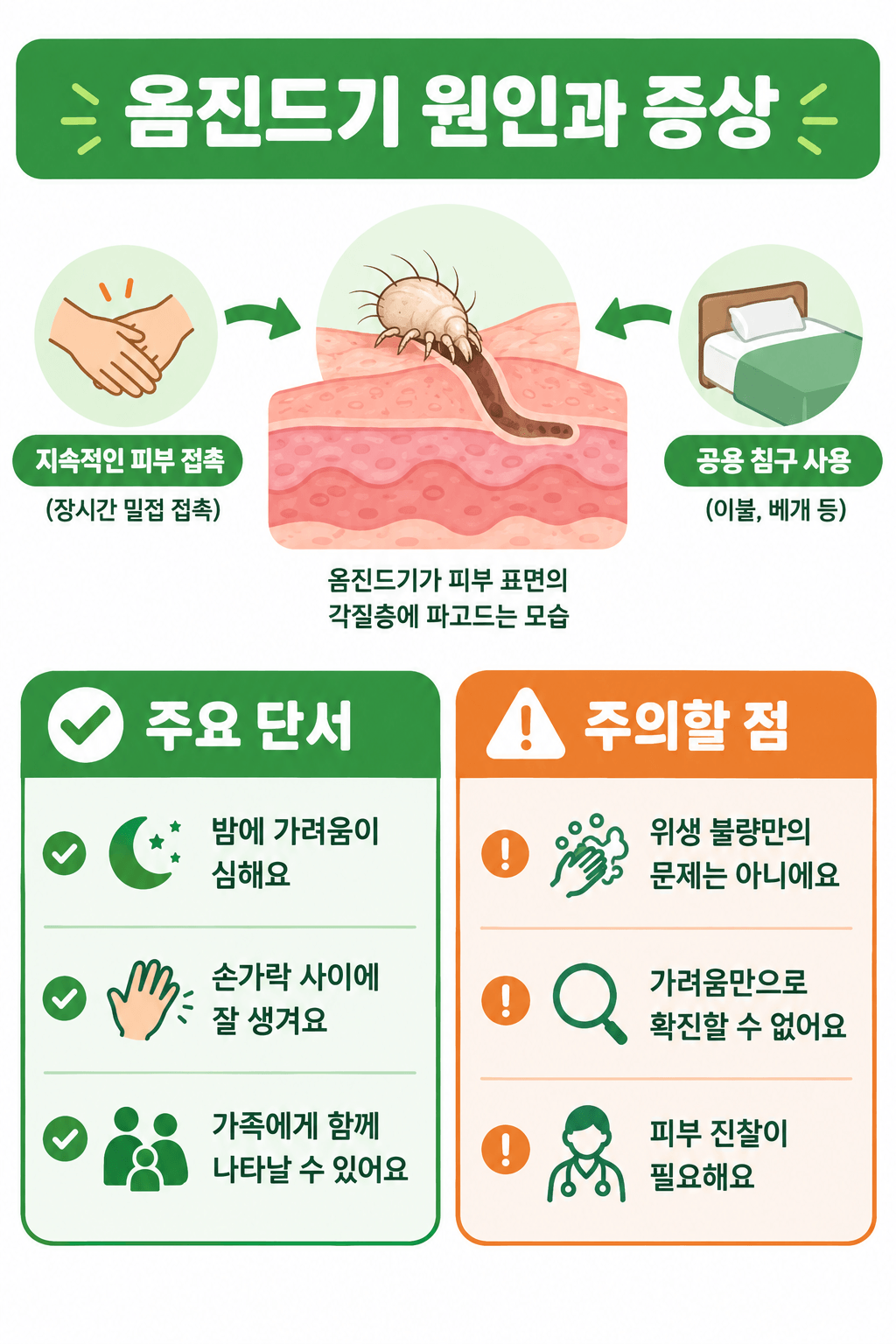 옴진드기 전염 경로와 대표 증상 한눈에 보기