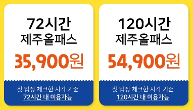 제주 올패스 가격
