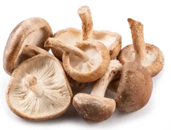 여성 갱년기에 좋은 식품 피해야 할 나쁜 식품