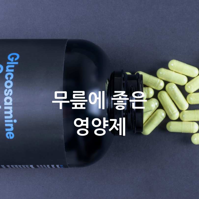 무릎통증관절운동영양제