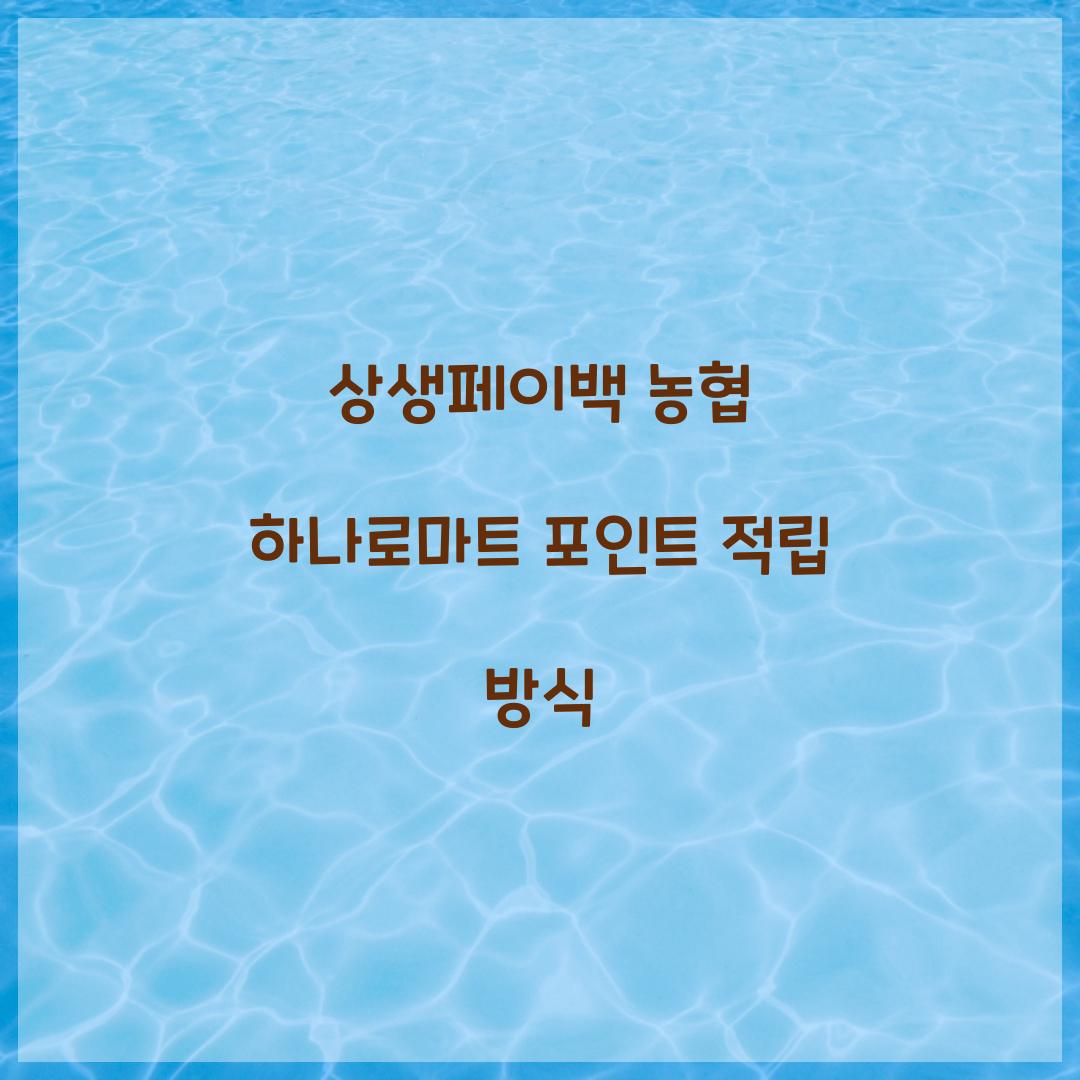상생페이백 농협 하나로마트 포인트 적립 방식
