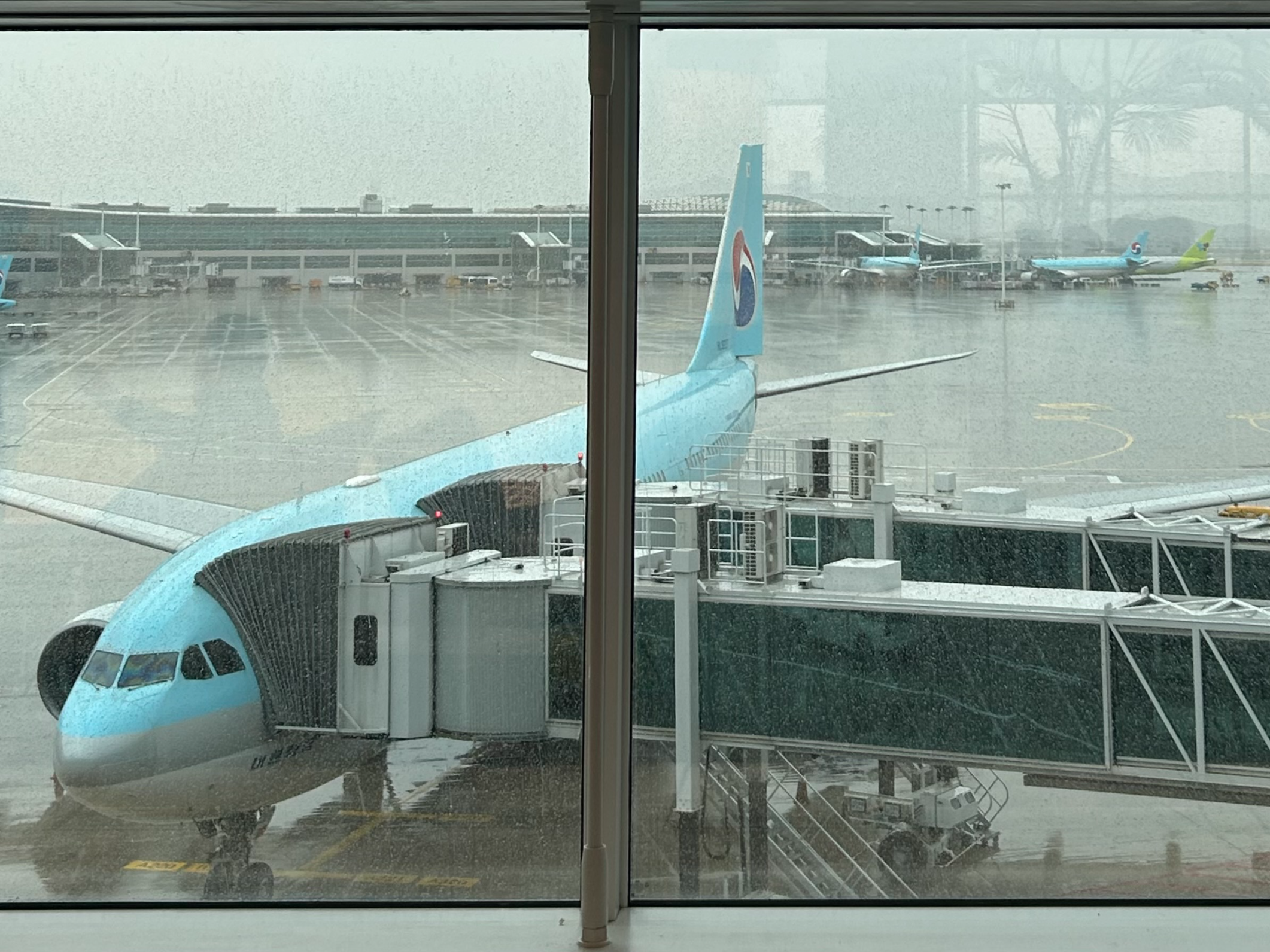 비오는 날, 대한항공