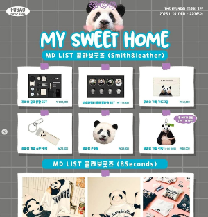 바오패밀리 팝업스토어 일정