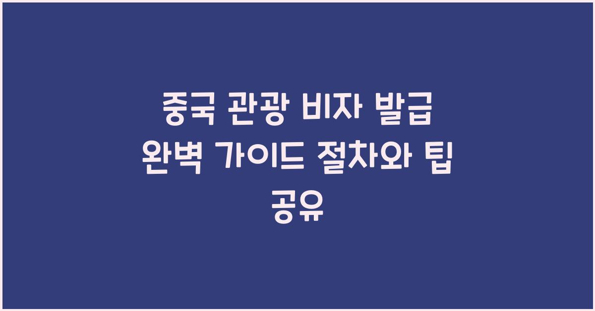중국 관광 비자