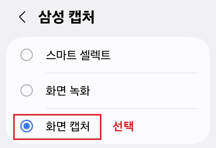 삼성캠처화면에 스마트 셀렉트, 화면녹화, 화면 캡처 메뉴 보임