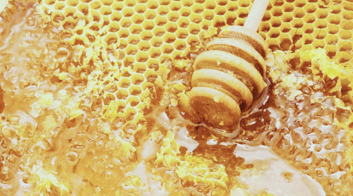 프로폴리스 효능