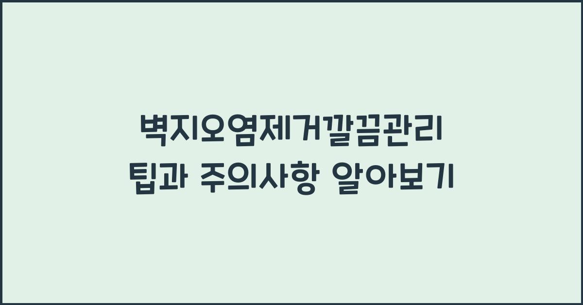 벽지오염제거깔끔관리