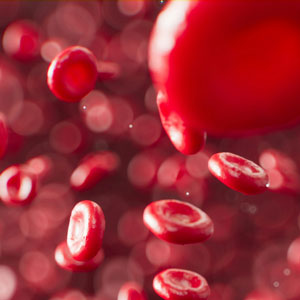 알부민의 효능 - 영양 저장