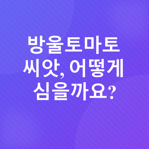 방울토마토 키우기_2