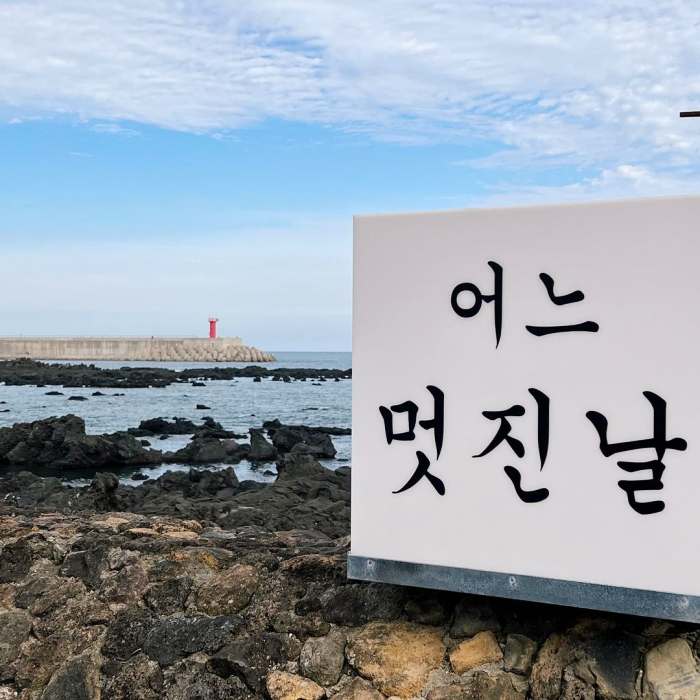 벵에돔 다금바리 돌돔 참돔 하루 전 예약 어종 선택 오마카세 제주 서귀포 맛집 먹자 포구 추천