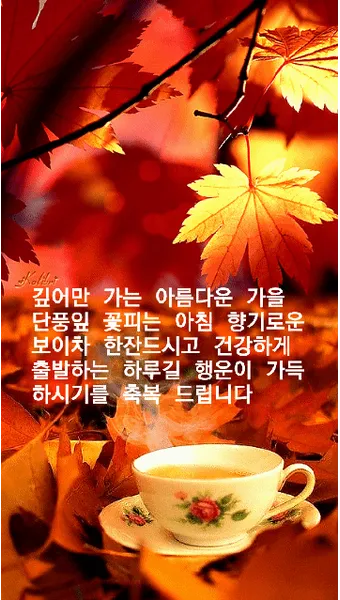 가을 인사말 문구 모음 정리_26