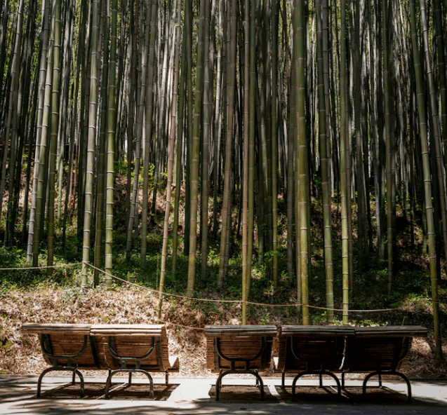 국내 소도시 여행지 5곳 완벽 정리