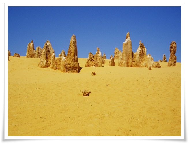 황금빛 모래사막에 기이한 모양의 암석들을 담은 사진입니다. 이 독특한 지형은 자연의 힘에 의해 형성된 것으로, 사막 지대의 아름답고 기묘한 경관을 보여주고 있습니다.