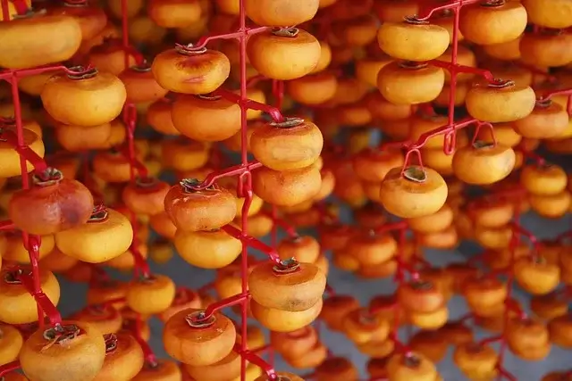 상주 곶감축제 기본정보