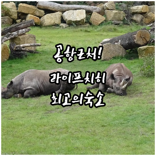 독일 라이프치히 여행 공항 인근 인기..