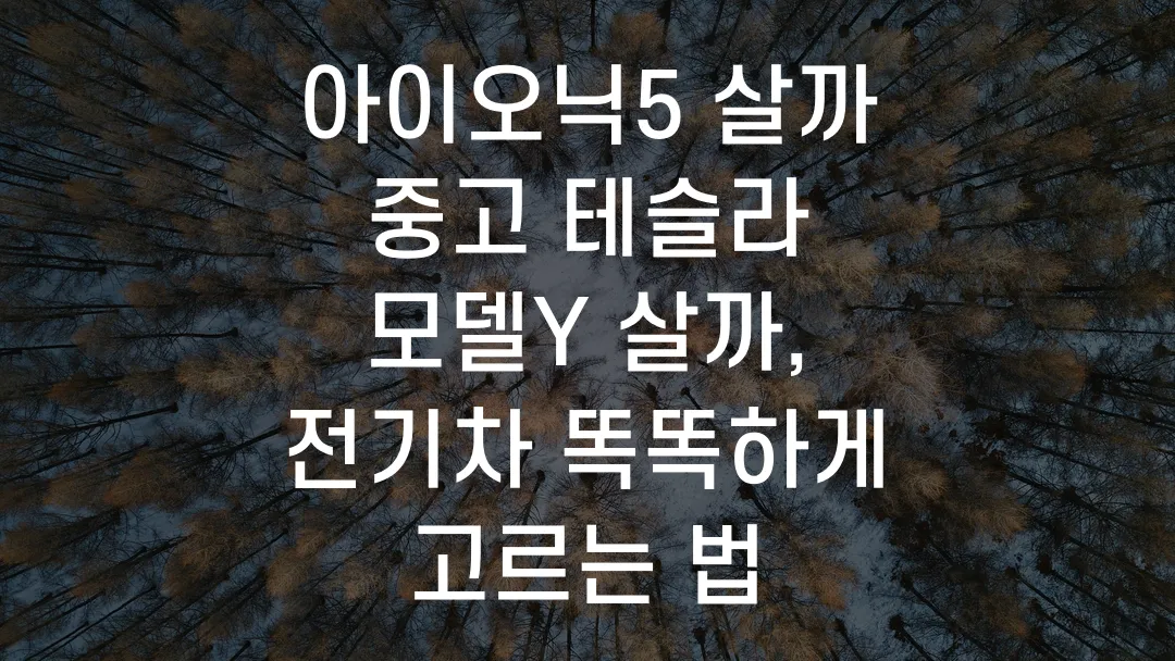 아이오닉5 살까 중고 테슬라 모델Y 살까, 전기차 똑똑하게 고르는 법