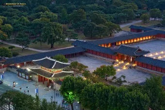 창경궁 야간개장 물빛연화 창경궁 야간개장 인터넷예매 예매 요령_10