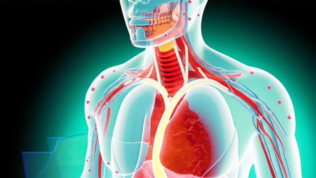 나팔관 조영술 후 통증 관리와 조영제..