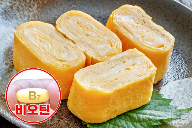 머릿결 좋아지는법,머릿결 좋아지는 음식 영양제,달걀,팁줌