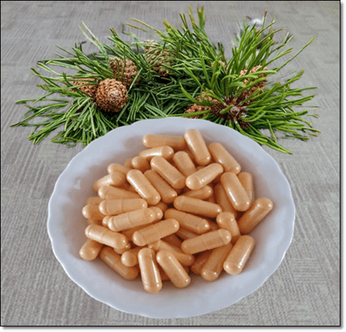 피크노제놀 보충제 및 소나무