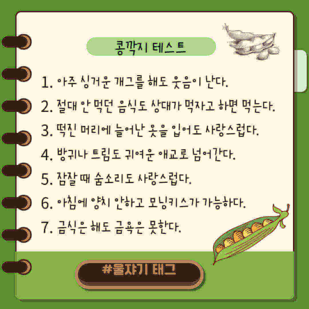 콩깍지 테스트