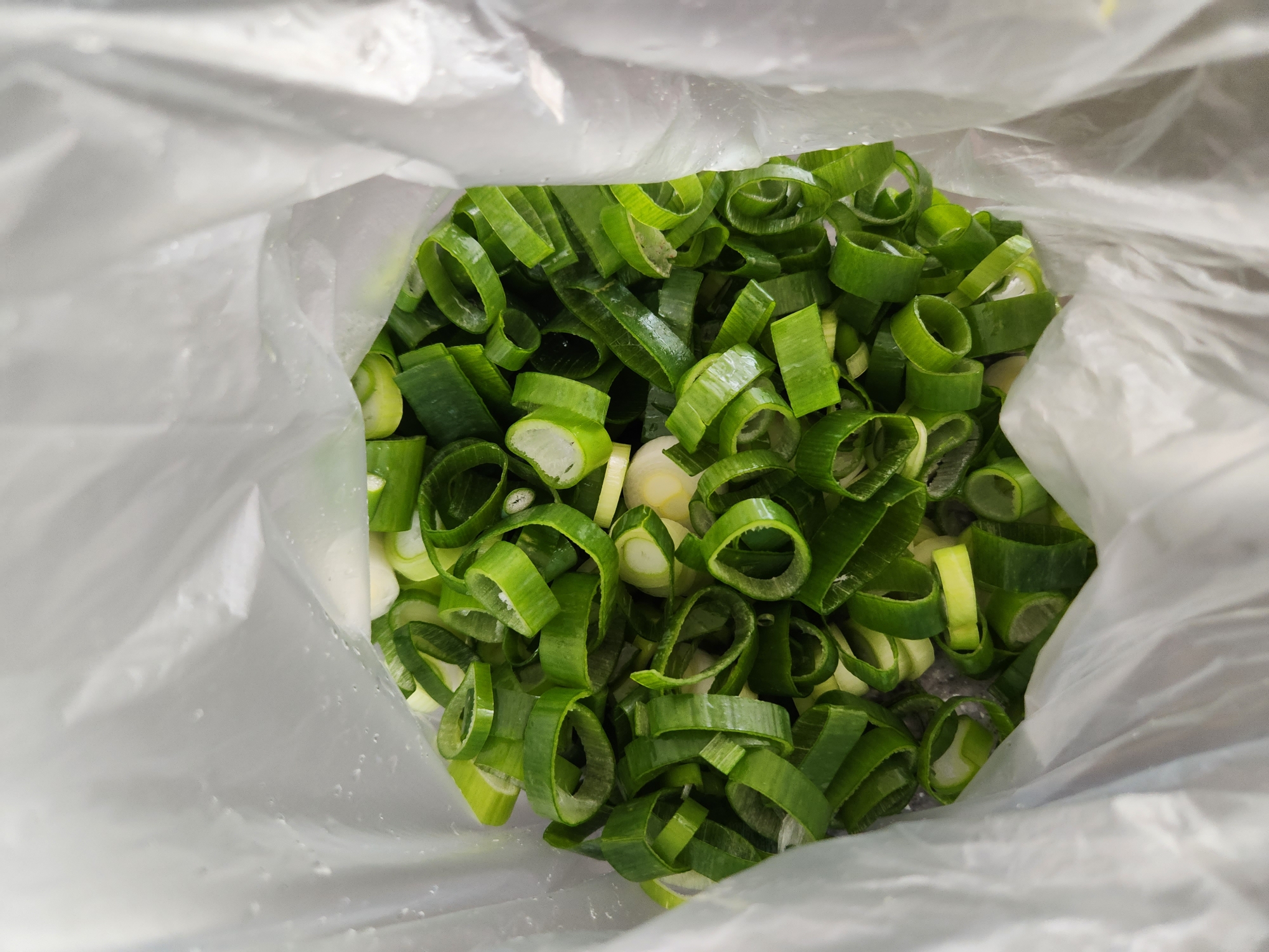 대파 보관법&amp;#44; 대파 효능에 대해 확실히 알려드릴게요. 냉동보관법