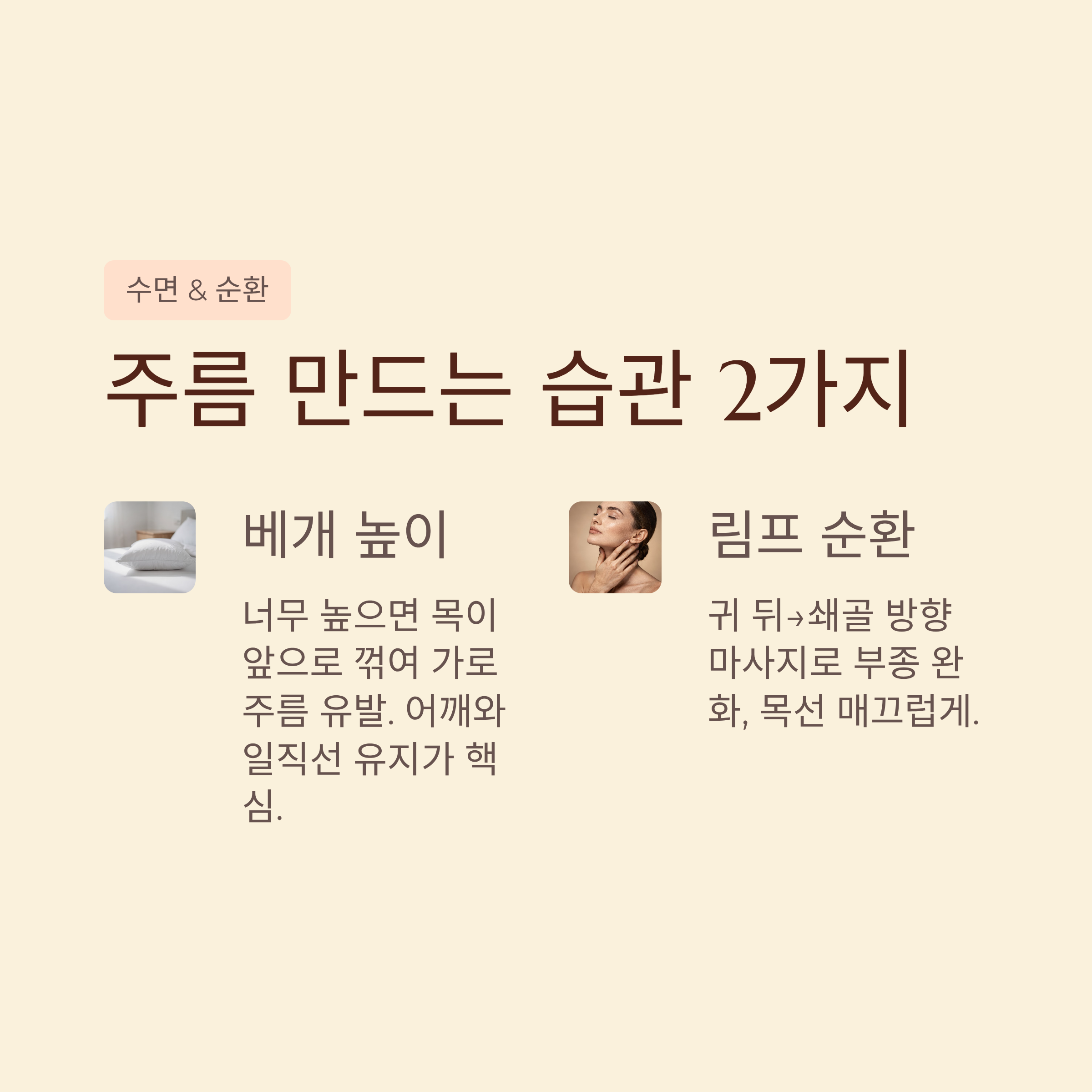 림프 순환