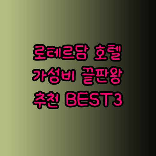 가성비 최고 로테르담 호텔은 어디일까