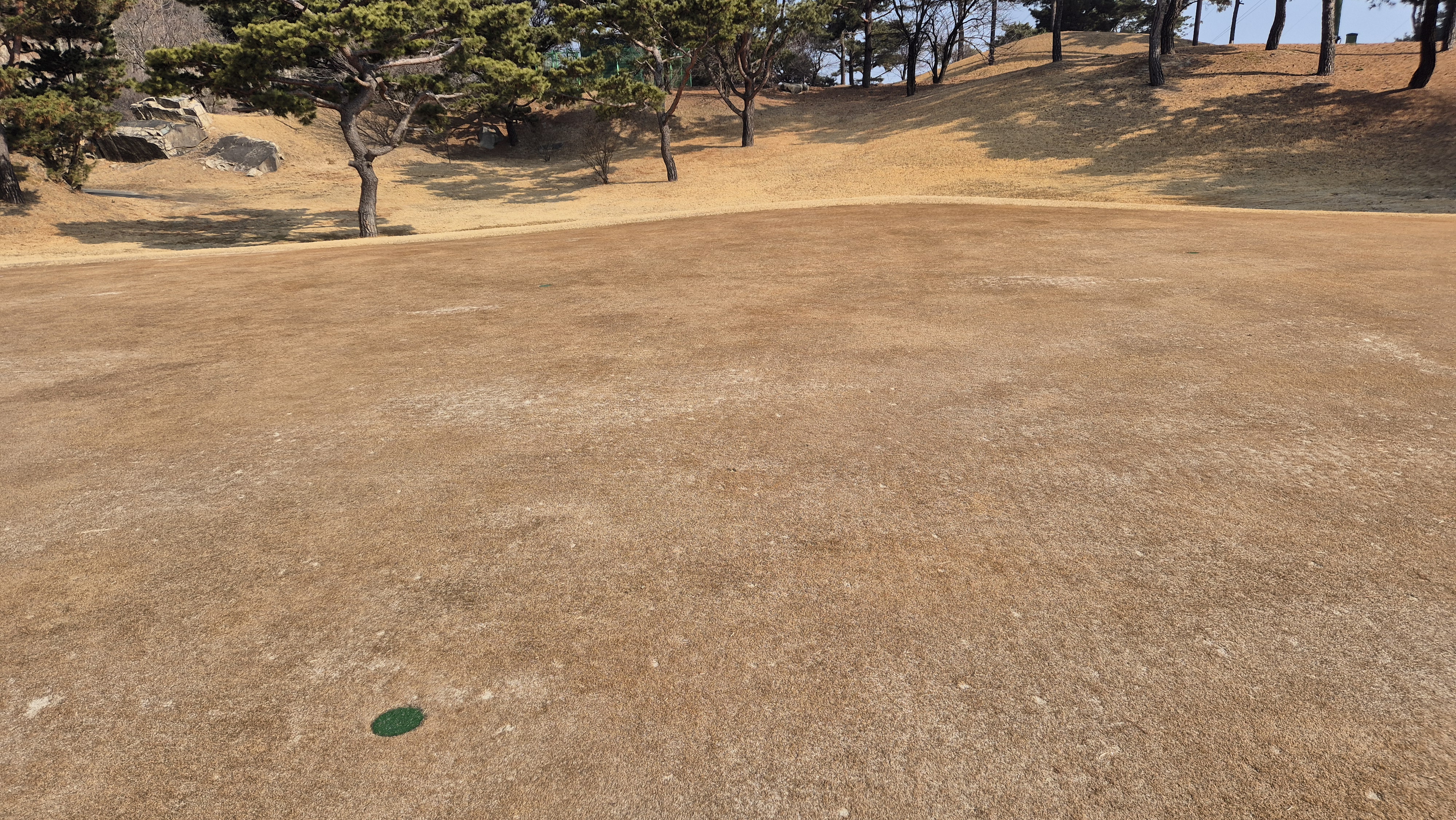 비에이비스타cc 호박-보나(퍼블릭) 코스 그린빠르기