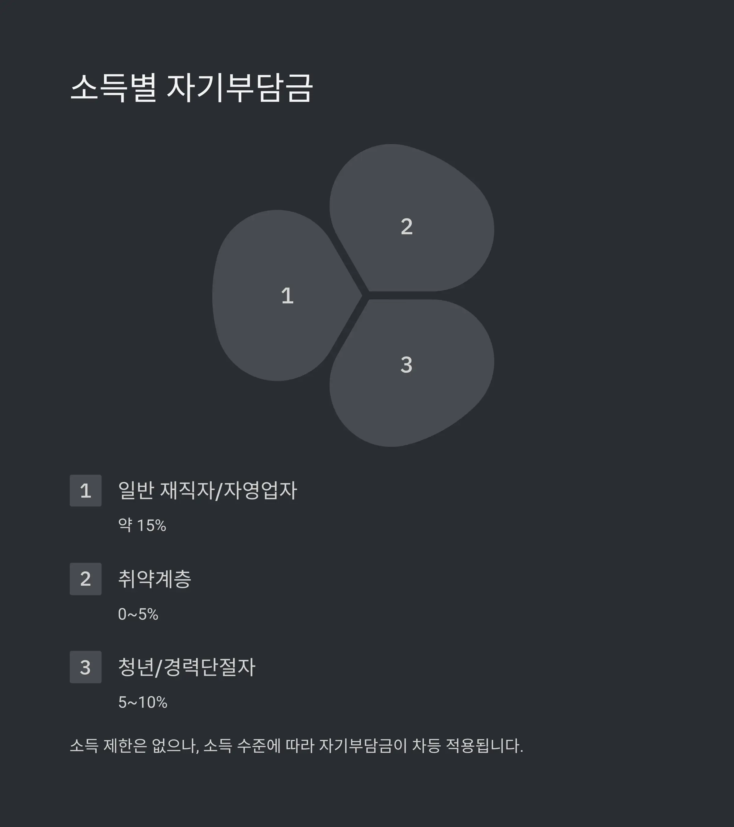 발급 후 가능한 분야 예시
