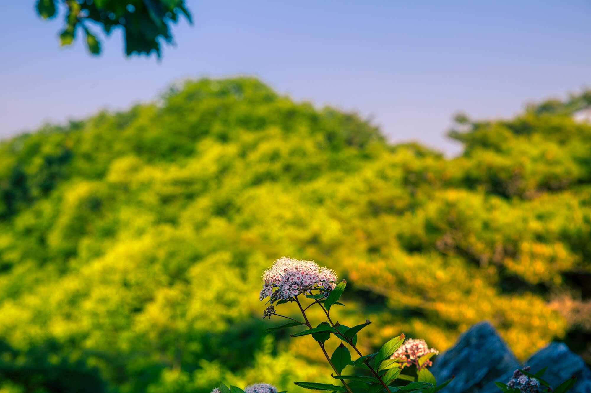 춘천 삼악산 풍경3