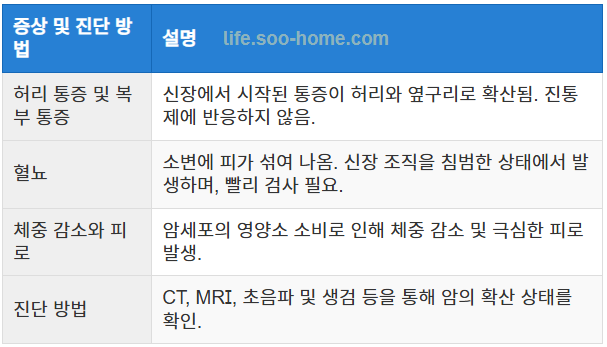 신장암 3기의 주요 증상