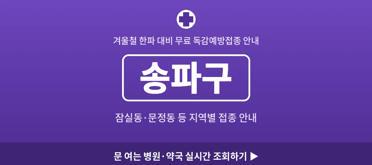 송파구 2026 겨울 무료 독감예방접종 병원 안내 (잠실동&middot;문정동)