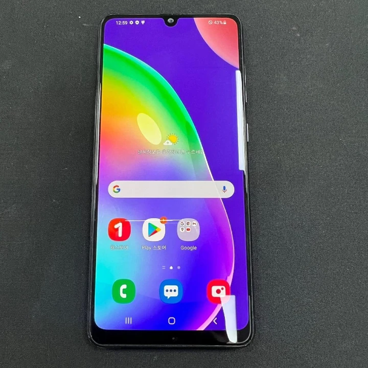 청년월세지원 지급일