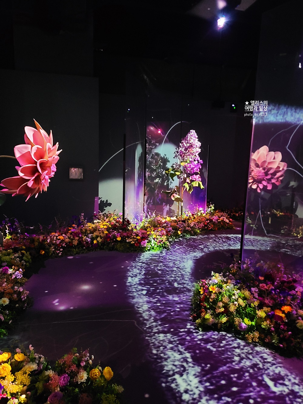 플라워바이네이키드 홍대 놀거리 입장료 23% 할인예매방법, 즐기는 꿀팁 네가지