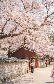 숙박세일페스타