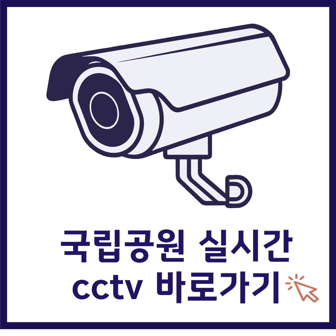 국립공원 실시간 cctv 모바일, 국립공원 실시간 영상보기